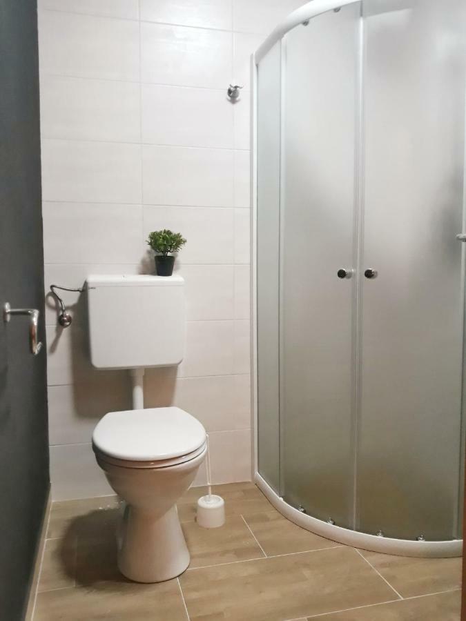 Villa Mihaela - Apartment Ika Cesarica Eksteriør billede